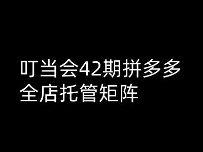 叮当会拼多多打爆班原创高阶技术第42期，拼多多全店托管矩阵-葛仙仙资源库