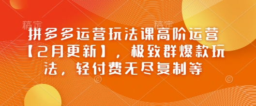 拼多多运营玩法课高阶运营【2月更新】，极致群爆款玩法，轻付费无尽复制等-葛仙仙资源库
