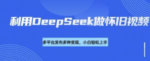 利用DeepSeek做怀旧视频,流量号多渠道变现能力强-葛仙仙资源库