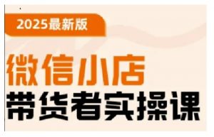 2025最新版微信小店带货者实操课,基础操作到高级运营技巧,快速上手-葛仙仙资源库