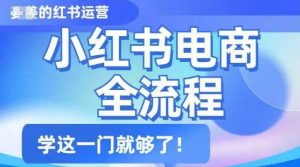 小红书电商全流程,精简易懂,从入门到精通,学这一门就够了-葛仙仙资源库