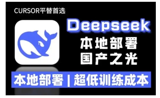 2025年deepseek R1 大型模型本地安装部署(文件+教程)本地部署，超低训练成本-葛仙仙资源库