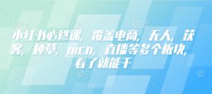 小红书必修课,覆盖电商,无人,获客,种草,mcn,直播等多个板块,看了就能干-葛仙仙资源库