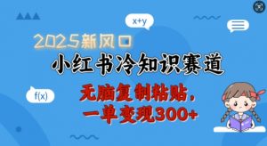 2025新风口,小红书冷知识赛道,无脑复制粘贴,一单变现300+-葛仙仙资源库