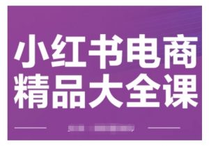 小红书电商精品大全课,快速掌握小红书运营技巧,实现精准引流与爆单目标,轻松玩转小红书电商(更新2月)-葛仙仙资源库