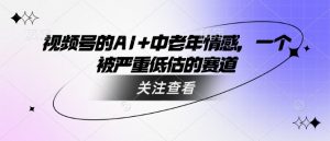 视频号的AI+中老年情感,一个被严重低估的赛道-葛仙仙资源库