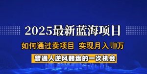 2025蓝海项目,普通人如何通过卖项目,实现月入过W,全过程【揭秘】-葛仙仙资源库