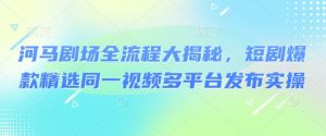 河马剧场全流程大揭秘,短剧爆款精选同一视频多平台发布实操-葛仙仙资源库